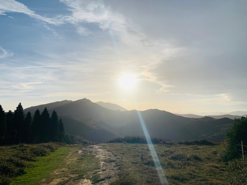 Desiderata (Max Ehrmann)