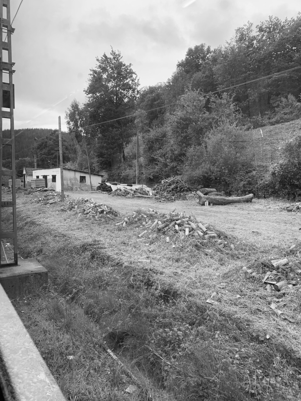 La vergüenza —Silvio Rodríguez | letra de&nbsp;canción