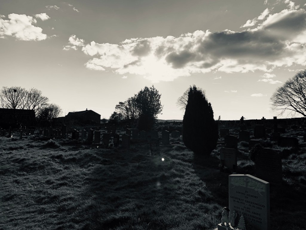 Del libro “Pureza” de Jonathan Franzen