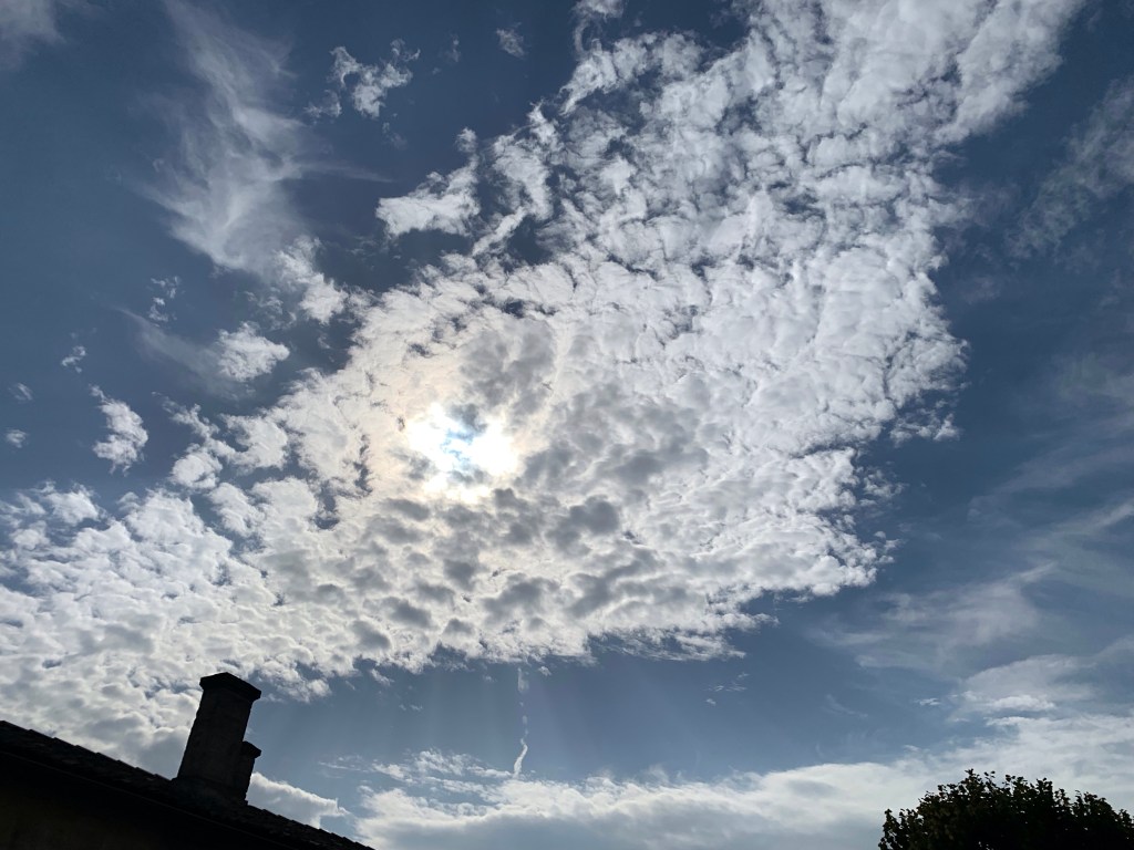 Reflexión de Milan Kundera en su novela: La insoportable levedad del ser