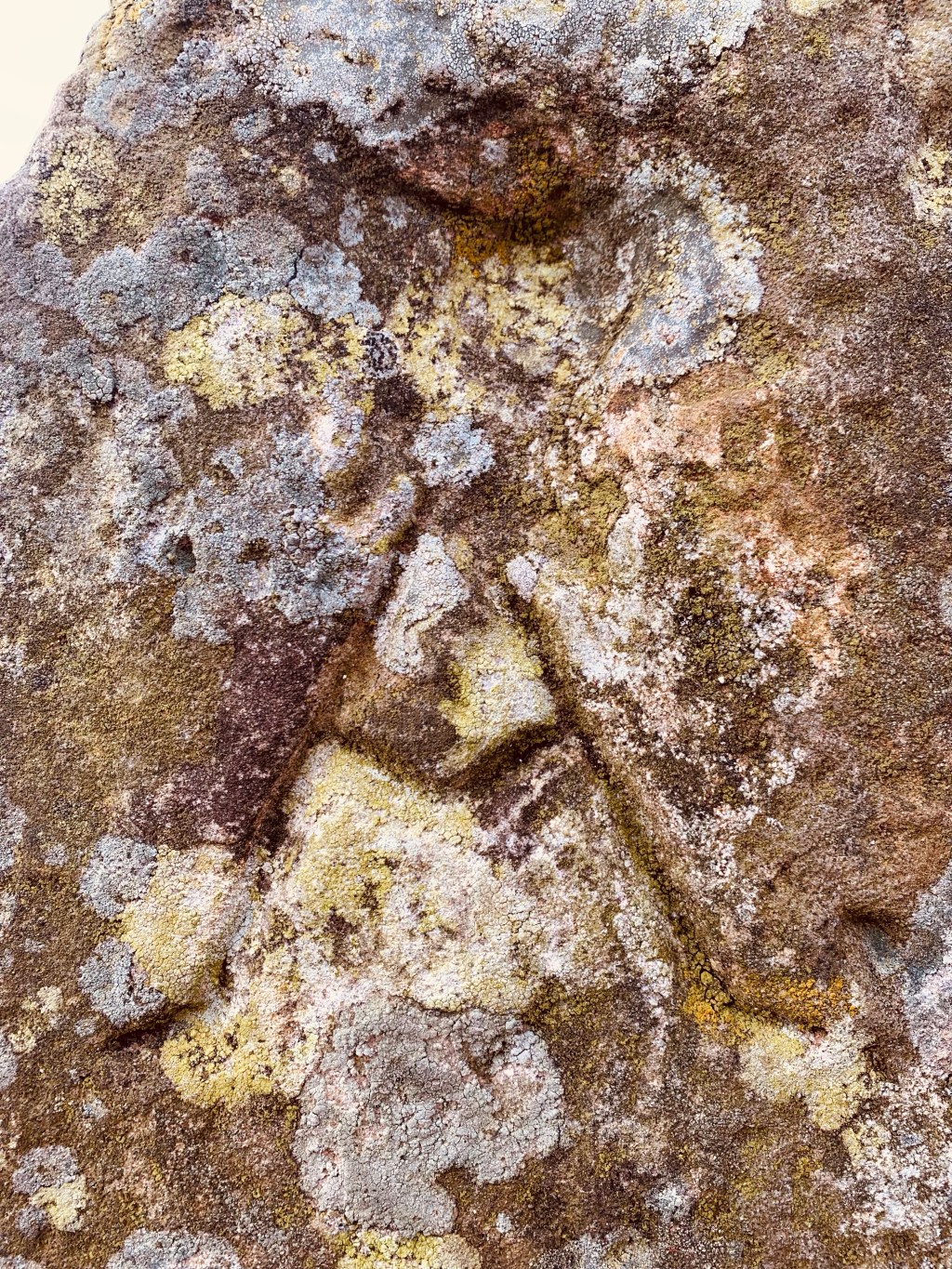 Seis consejos para escritores/as, por John Steinbeck