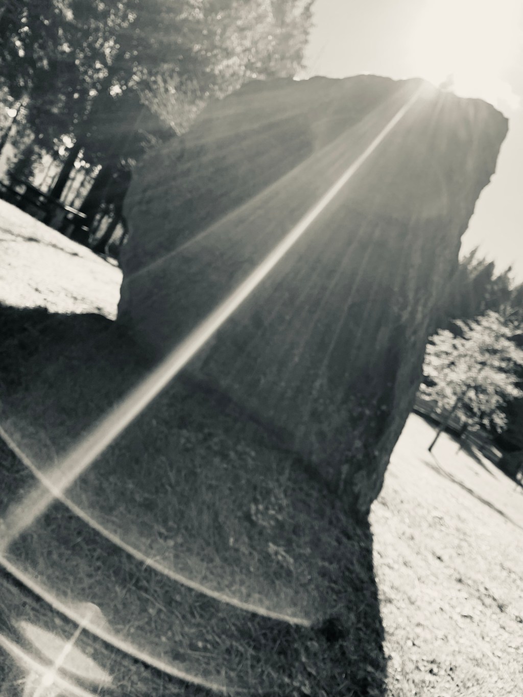 Lo bueno de ser&nbsp;invisibles