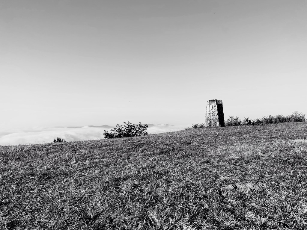 Autocompasión renovadora