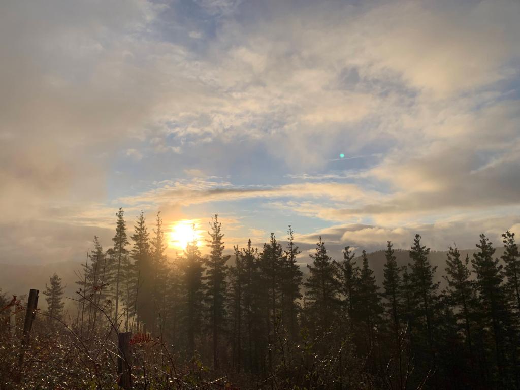 El origen de la belleza