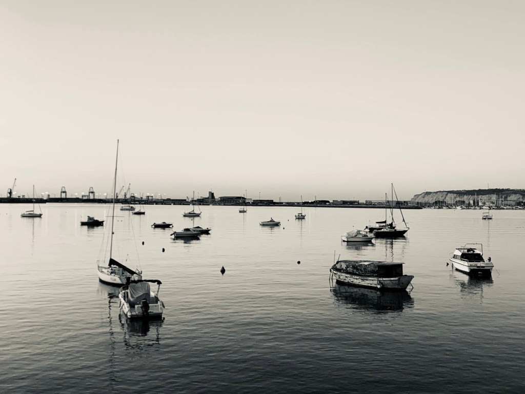 ¡Eh, petrel! (Julio&nbsp;Villar)